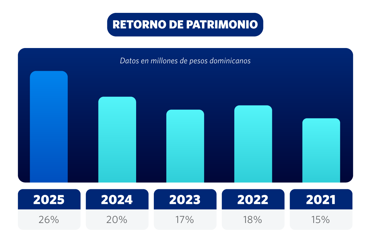 Grafico Retorno De Patrimonio