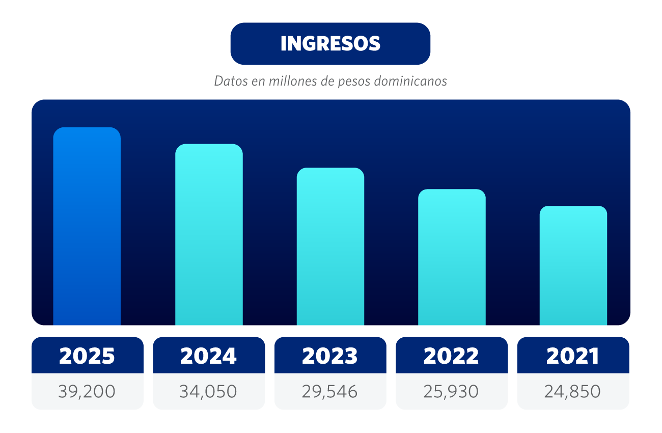 Ingresos 2025