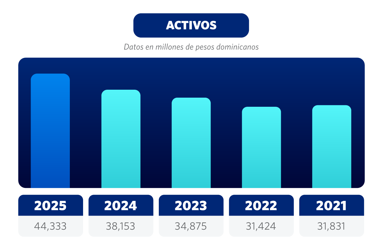 Activos 2025