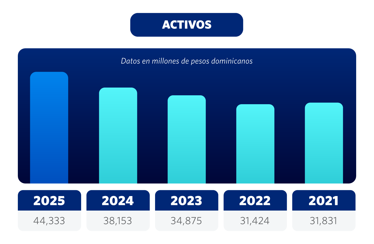 Grafico Activos