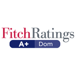Fitch Rating